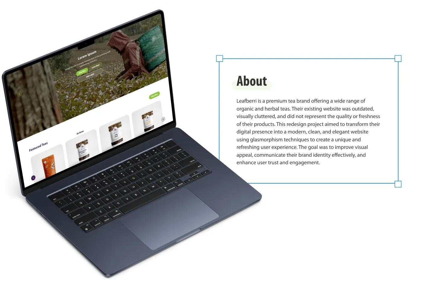 Leafberri case study, image 3 of 9