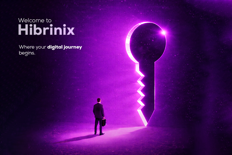 Welcome to Hibrinix: We Build What Matters